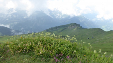 Landeswandertag 2018 Diedamskopf 2
