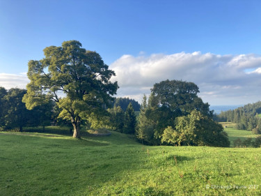Kneipp LV Vorarlberg Wandertag Georg Jillich 2241