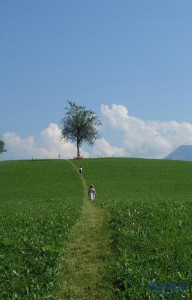 KAC Langenegg Kneippweg 06813