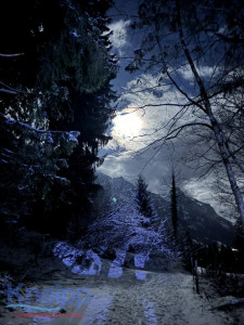 Vollmondwanderung 2690